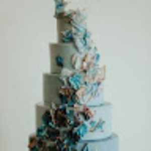 Meet your Posher, Little blackbird